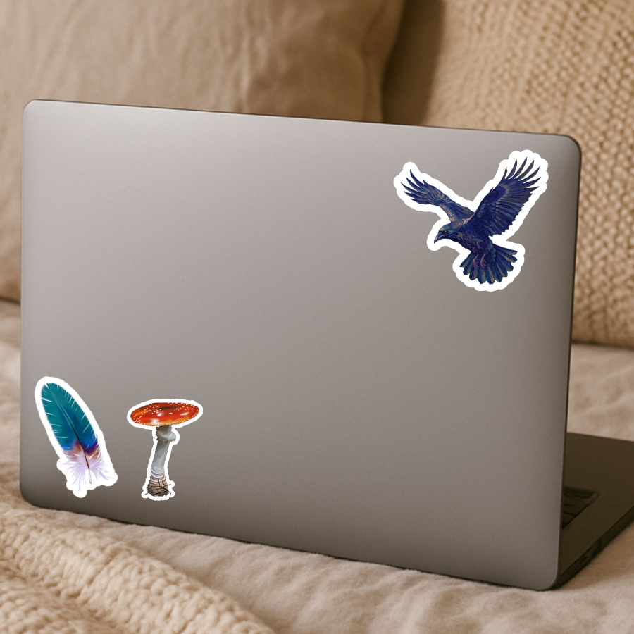 Waterproof Blue Jay Sticker - Waterproof Vinyl Sticker - Original Art Decal