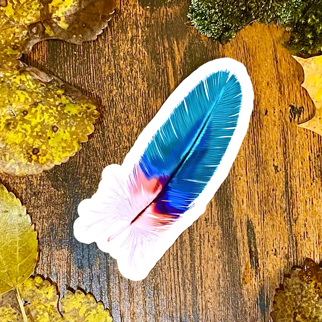 Waterproof Blue Jay Sticker