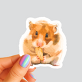 Hamster Nibbling on Snack - Waterproof Acrylic Sticker - Original Art Decal