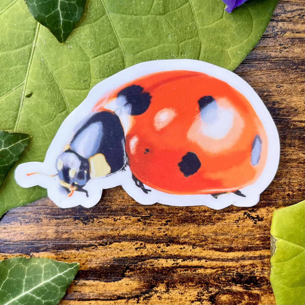 Waterproof Ladybug Sticker