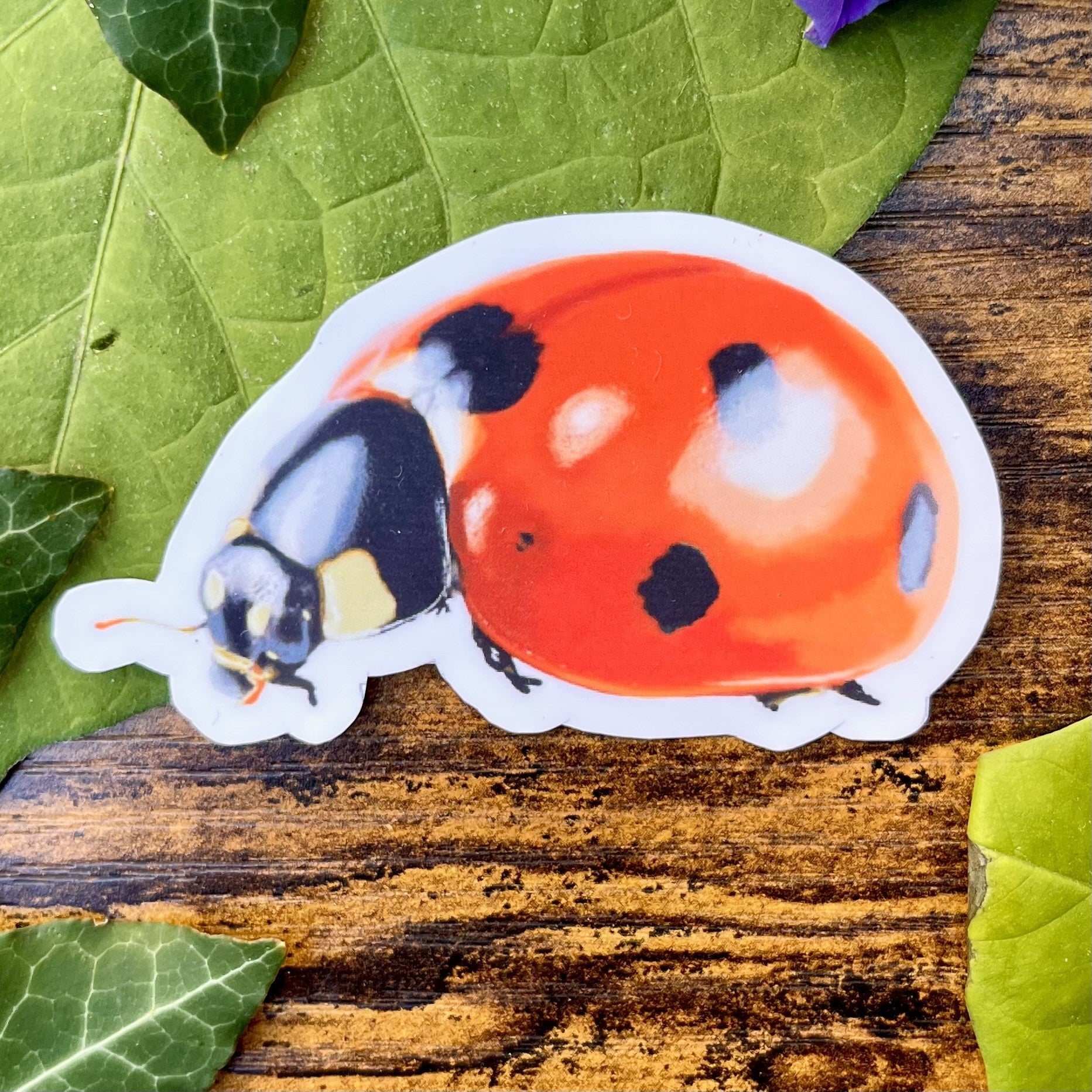 Waterproof Ladybug Sticker