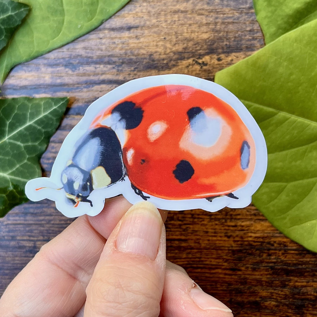 Waterproof Ladybug Sticker