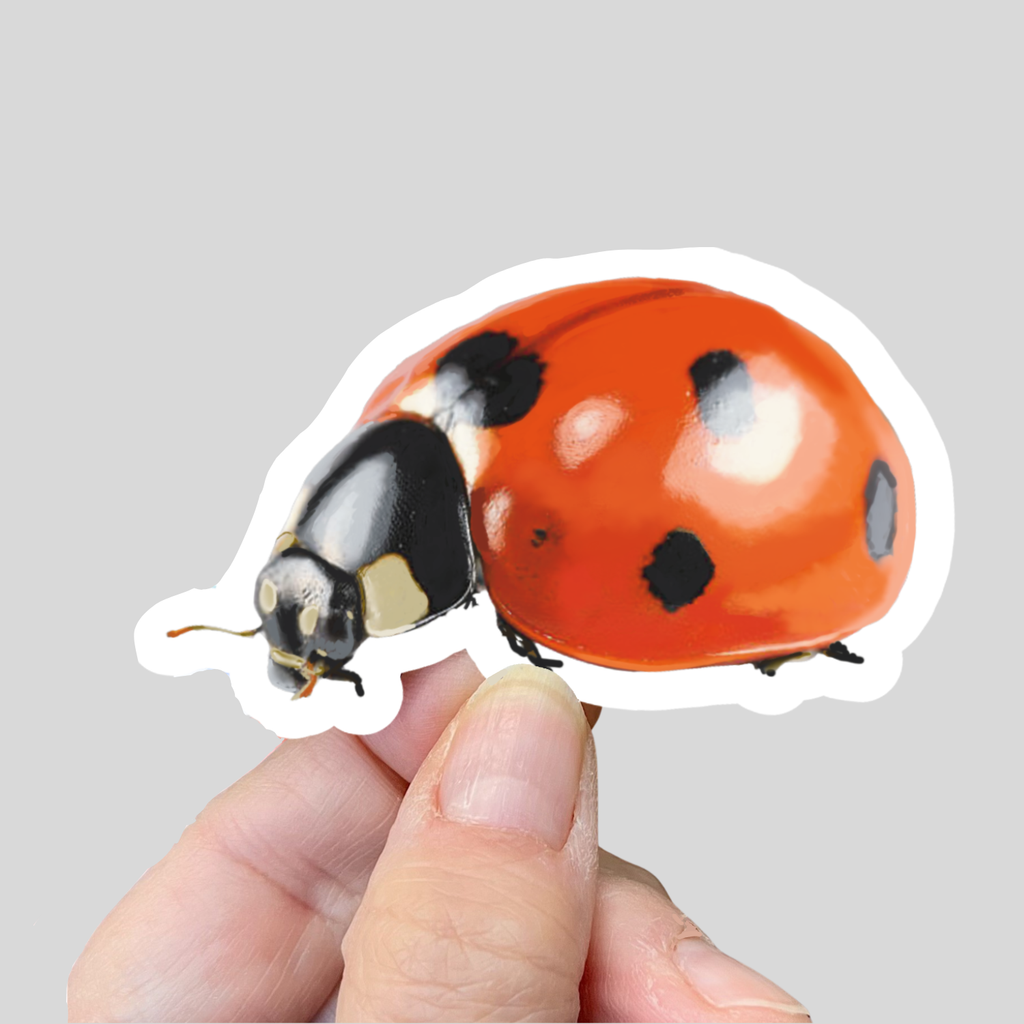 Waterproof Ladybug Sticker