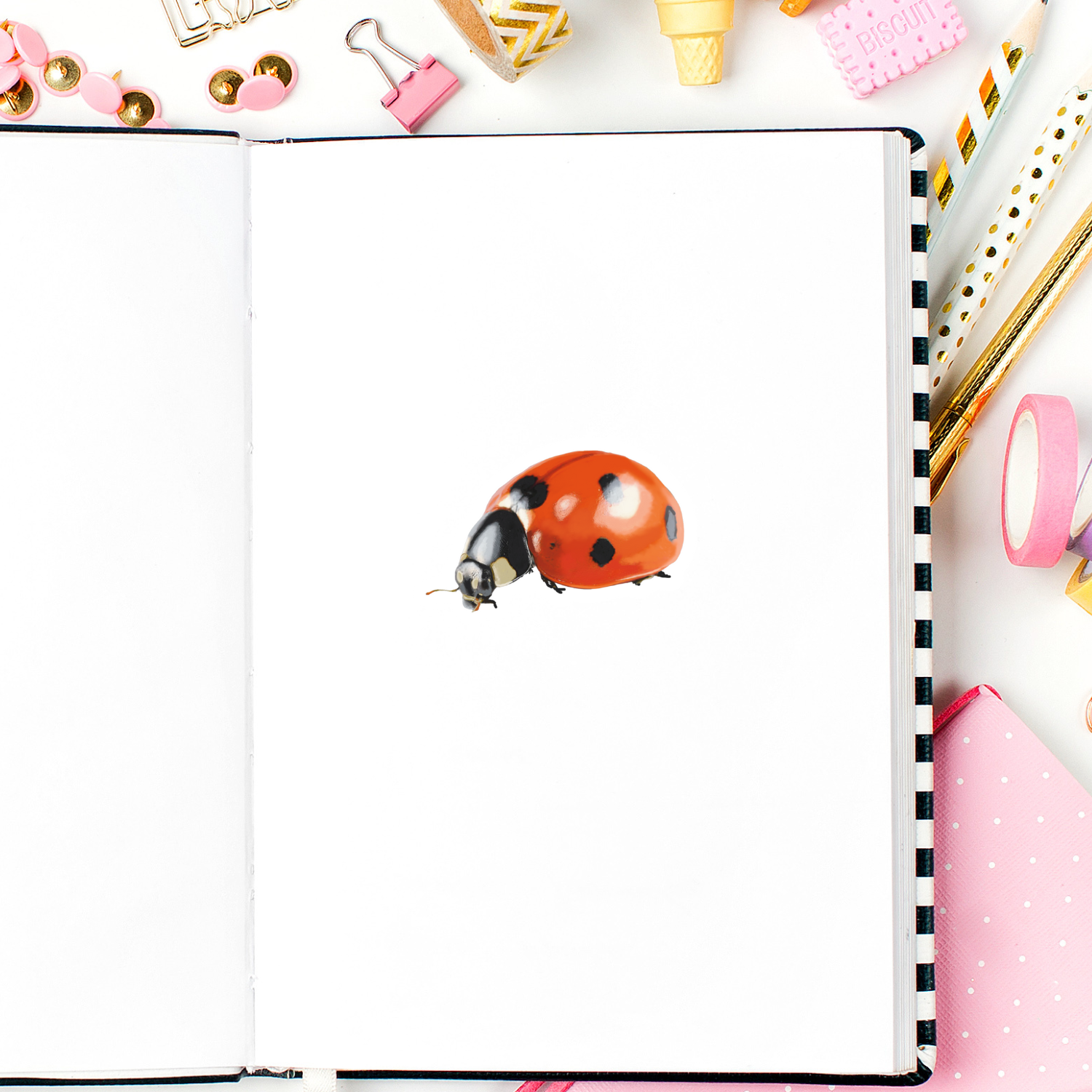 Waterproof Ladybug Sticker