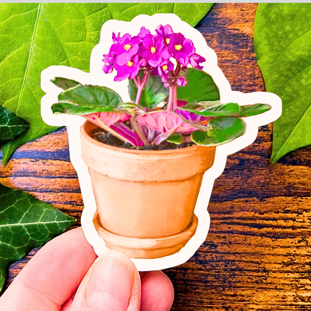 Waterproof Potted African Violet Sticker
