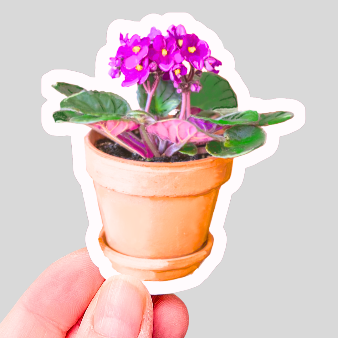 Waterproof Potted African Violet Sticker