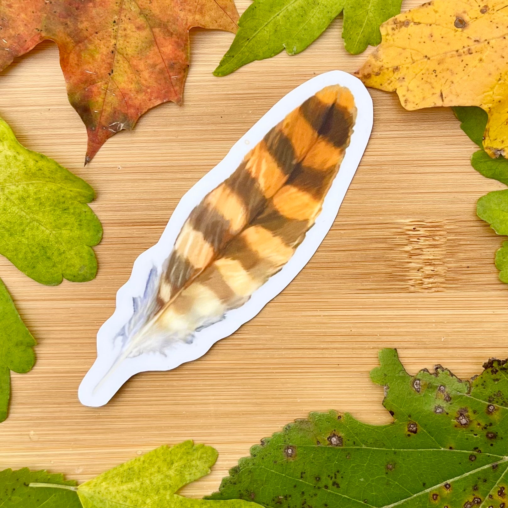 Waterproof Great Horned Owl Sticker