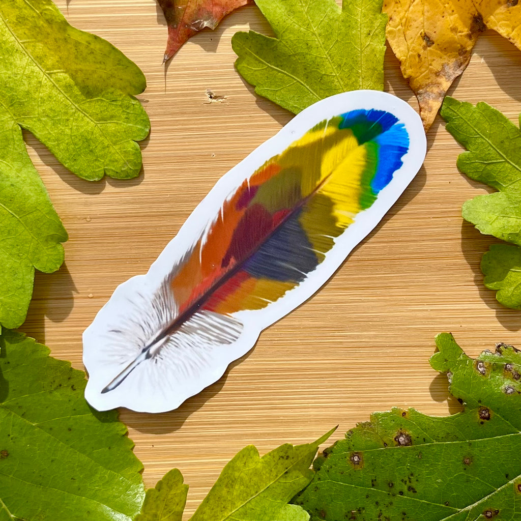 Waterproof Macaw Feather Sticker