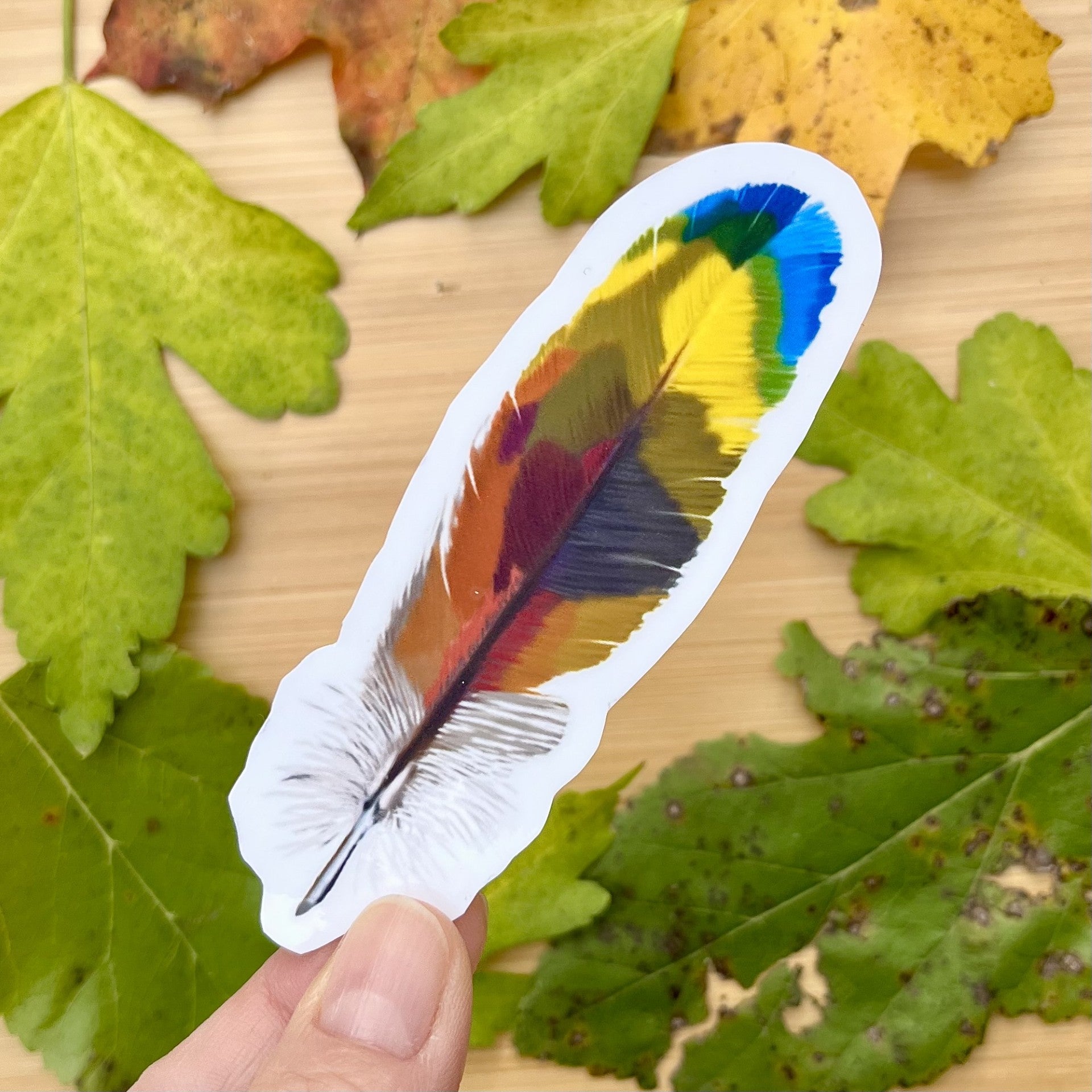 Waterproof Macaw Feather Sticker