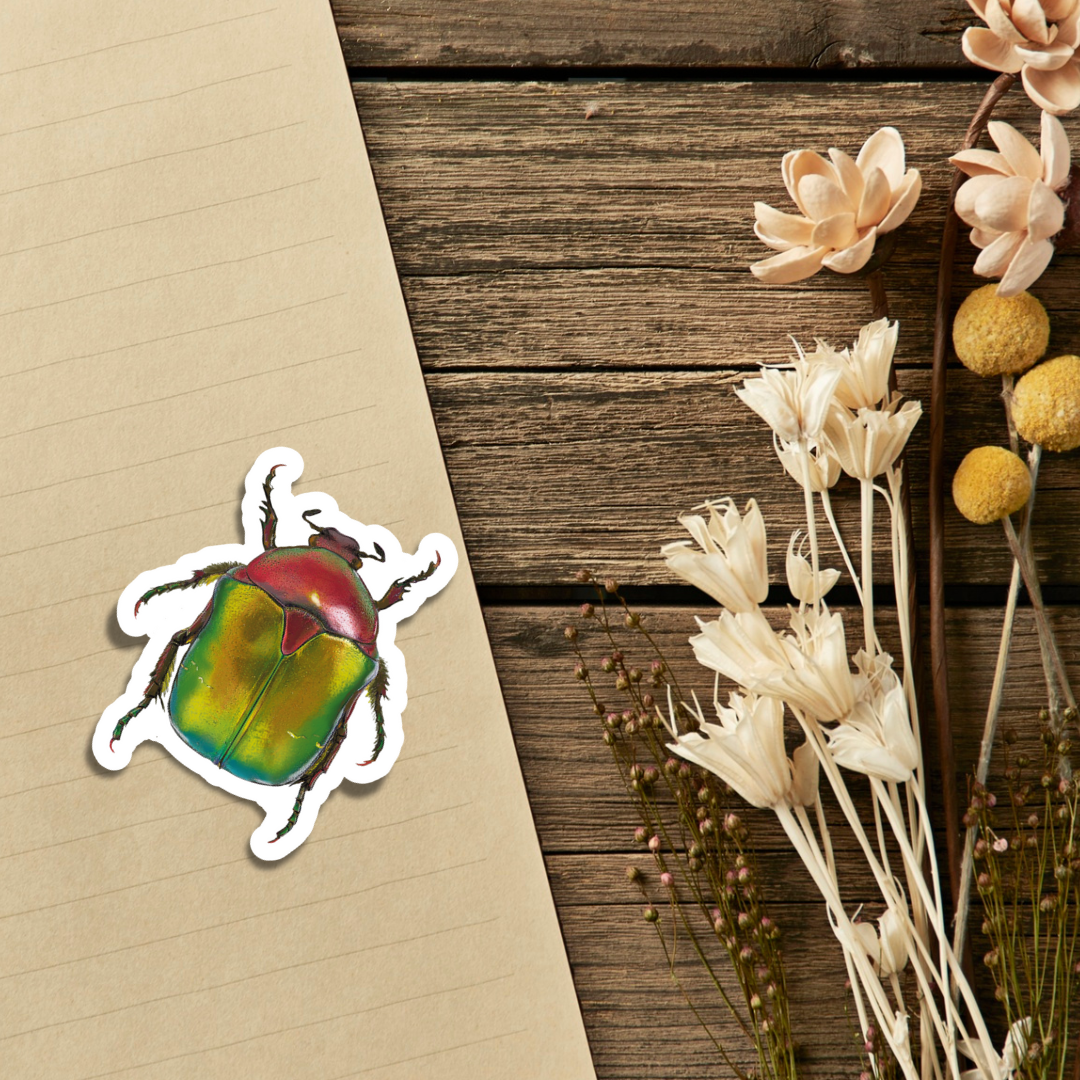 Christmas Beetle Sticker  - Waterproof Vinyl Sticker - Original Art Decal