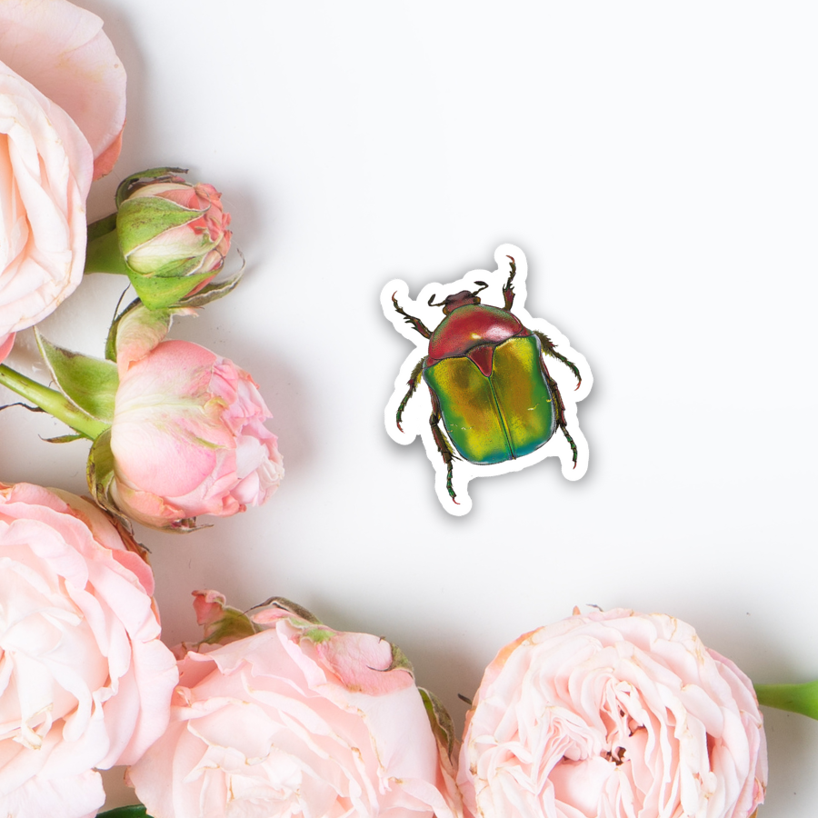 Christmas Beetle Sticker  - Waterproof Vinyl Sticker - Original Art Decal