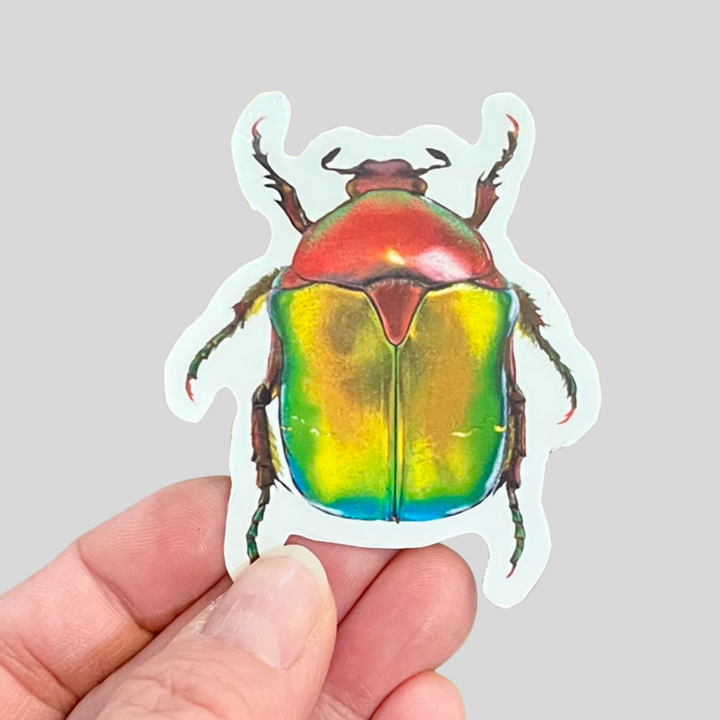 Waterproof Emerald Tip Beetle Sticker
