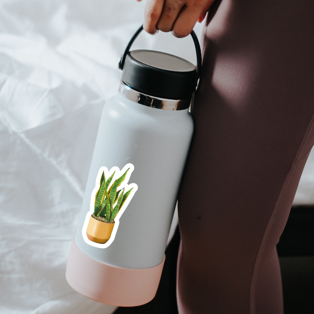 Waterproof Snake Plant Sticker
