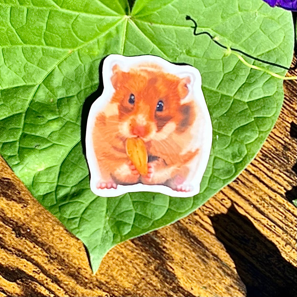 Hamster Nibbling Sticker