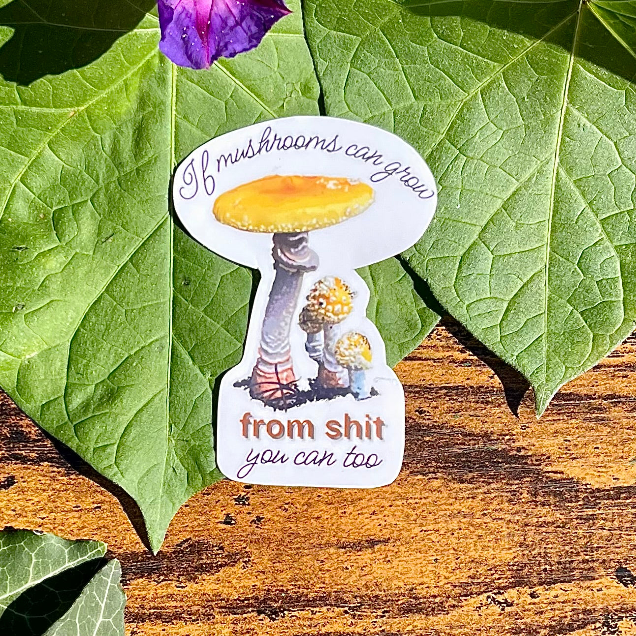 Weaterproof If Mushrooms Can Grow From Shit So Can You