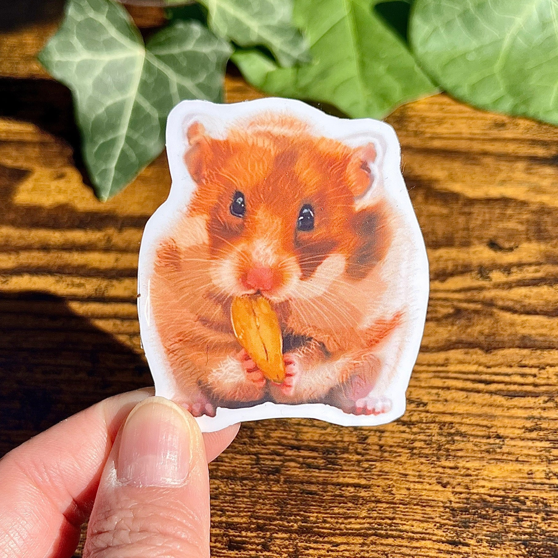 Hamster Nibbling Sticker
