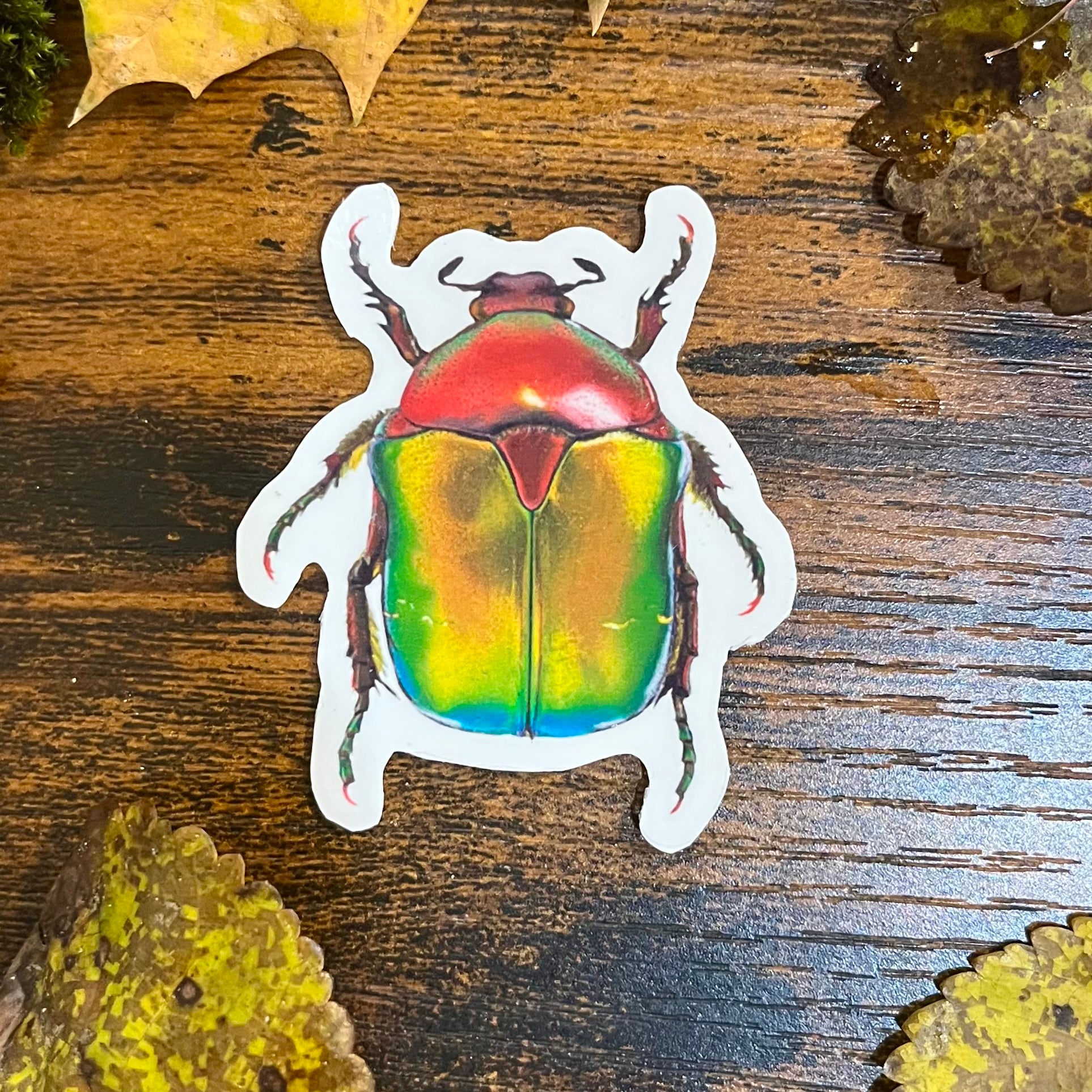 Waterproof Emerald Tip Beetle Sticker