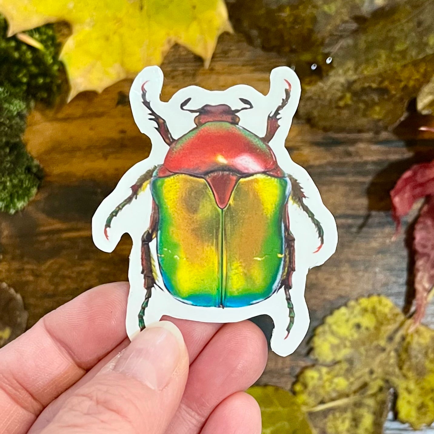 Waterproof Emerald Tip Beetle Sticker