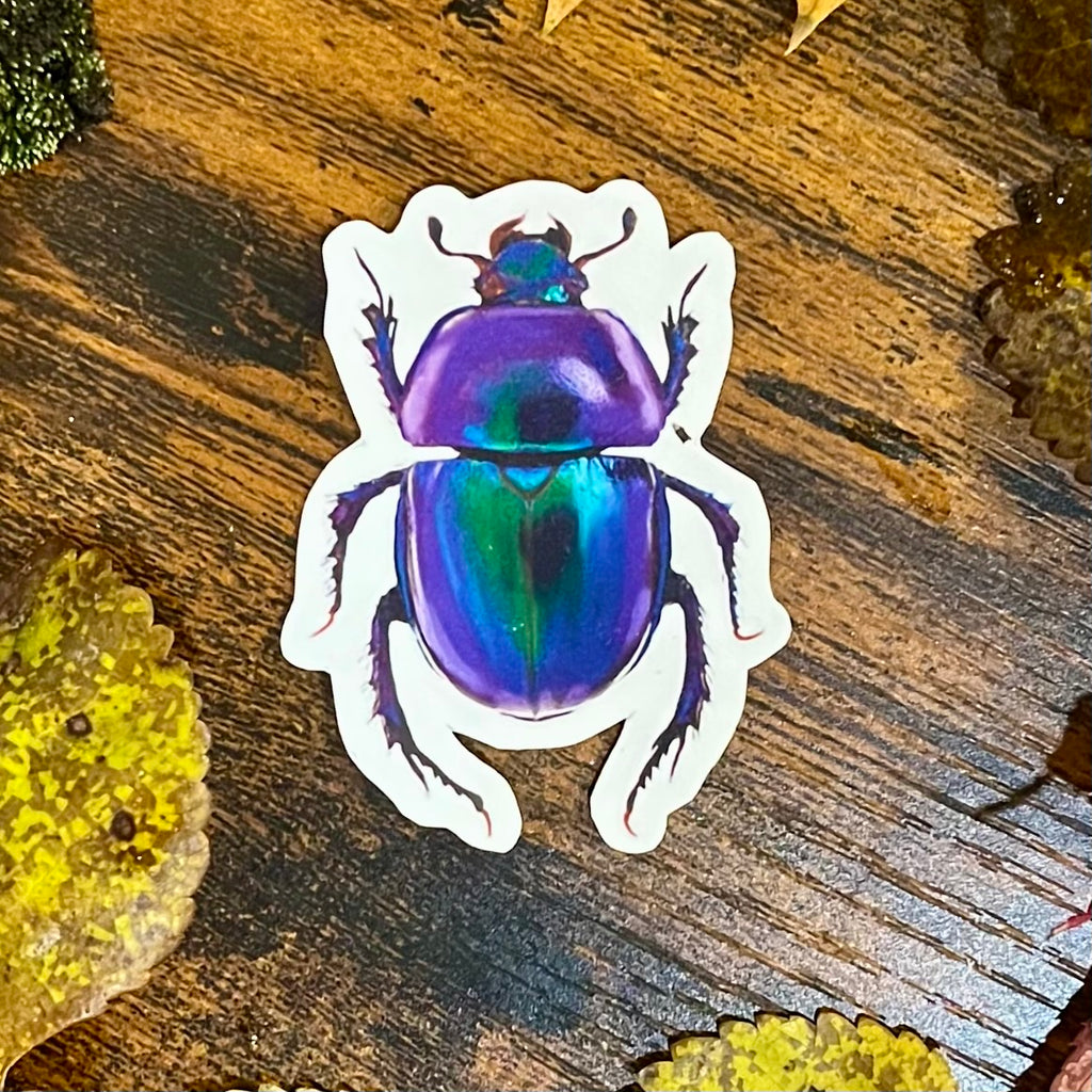 Waterproof Rose Chafer Beetle Sticker