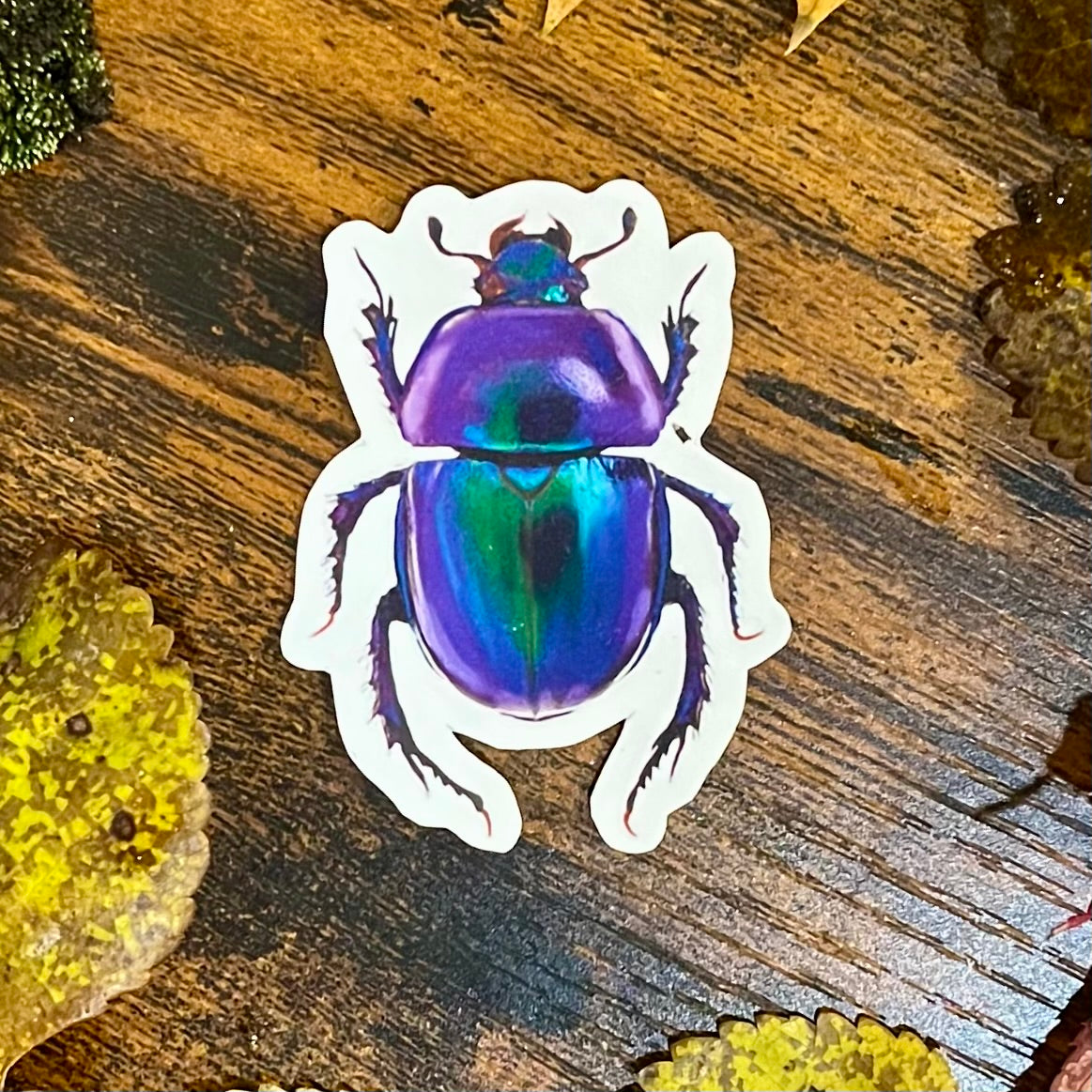 Waterproof Rose Chafer Beetle Sticker