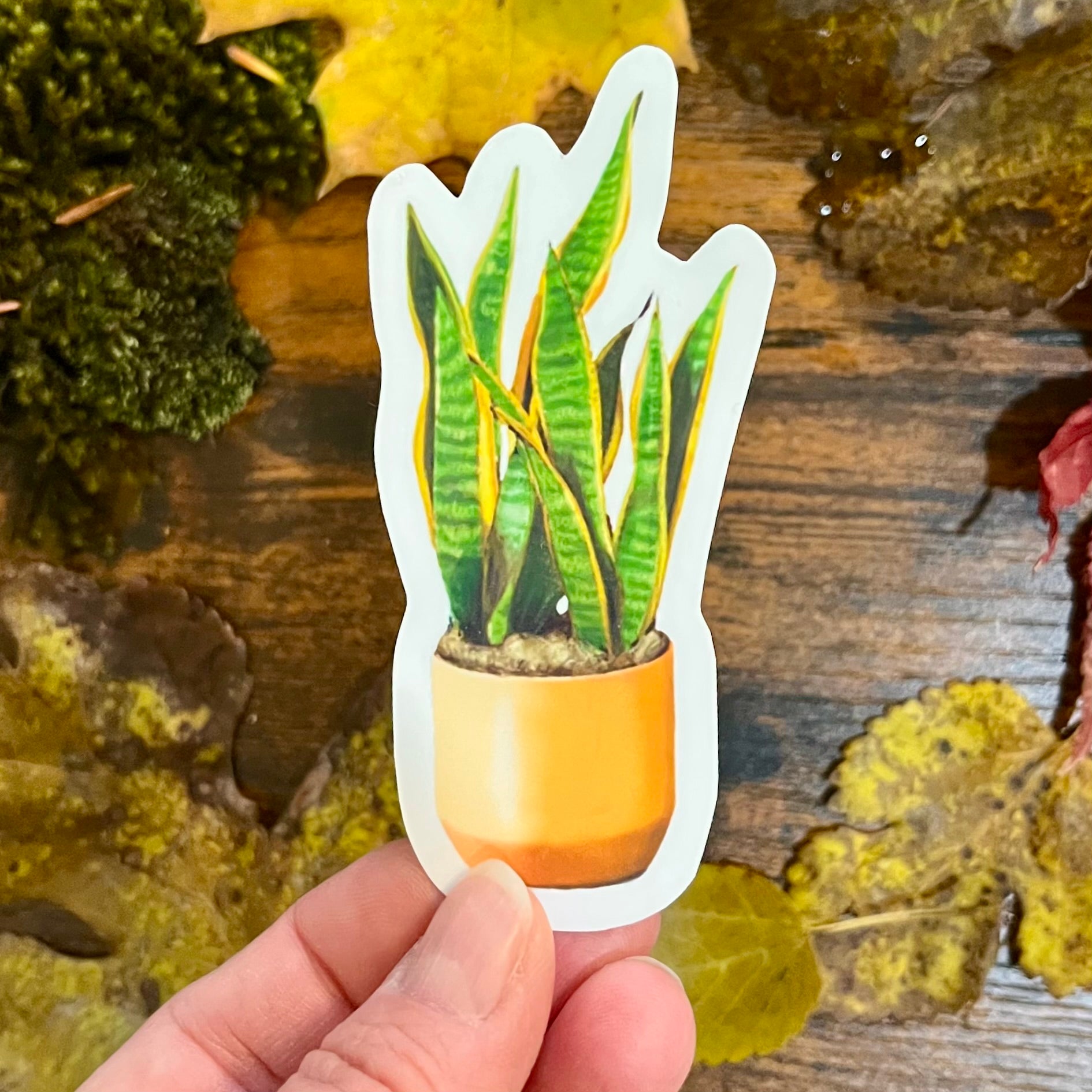 Waterproof Snake Plant Sticker