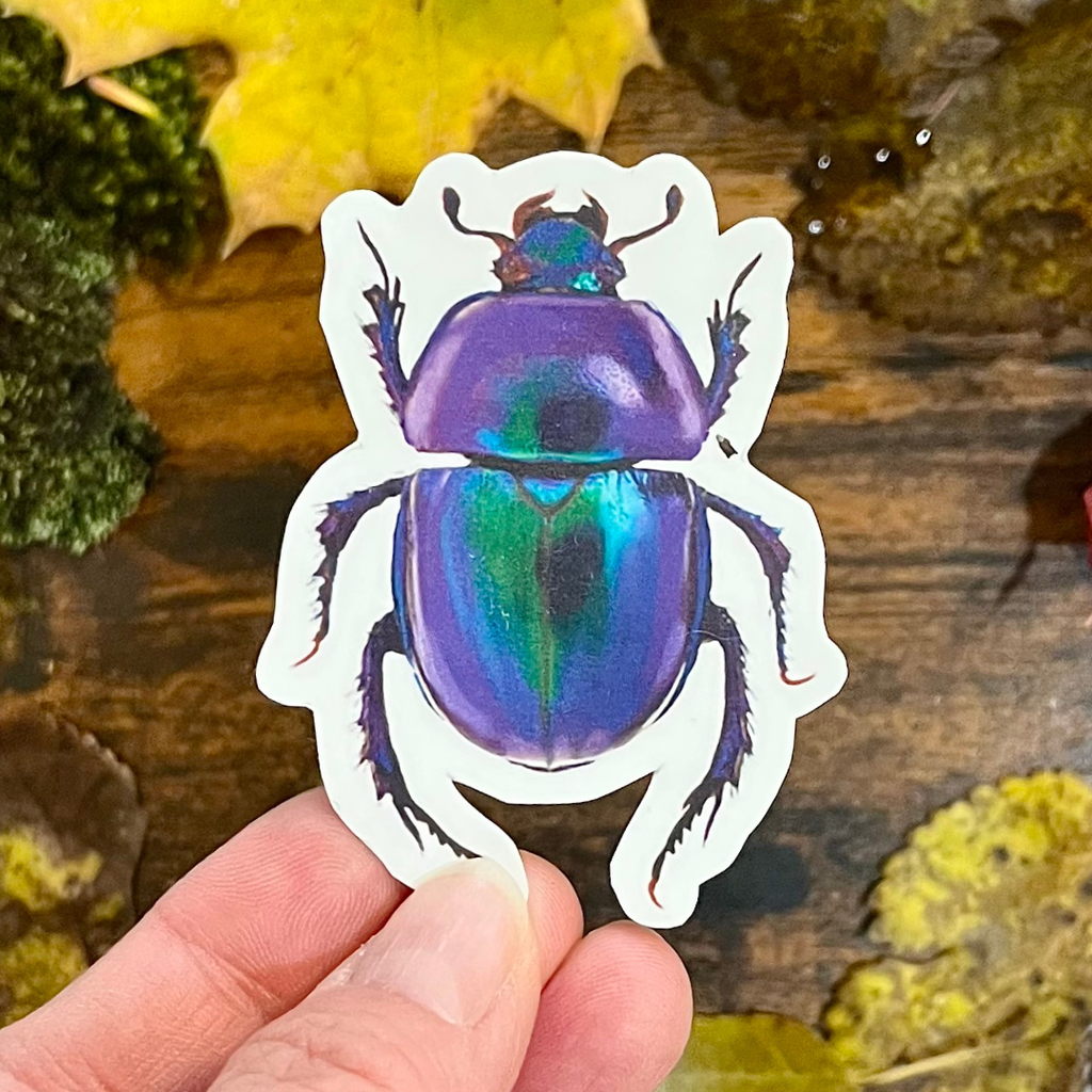 Waterproof Rose Chafer Beetle Sticker