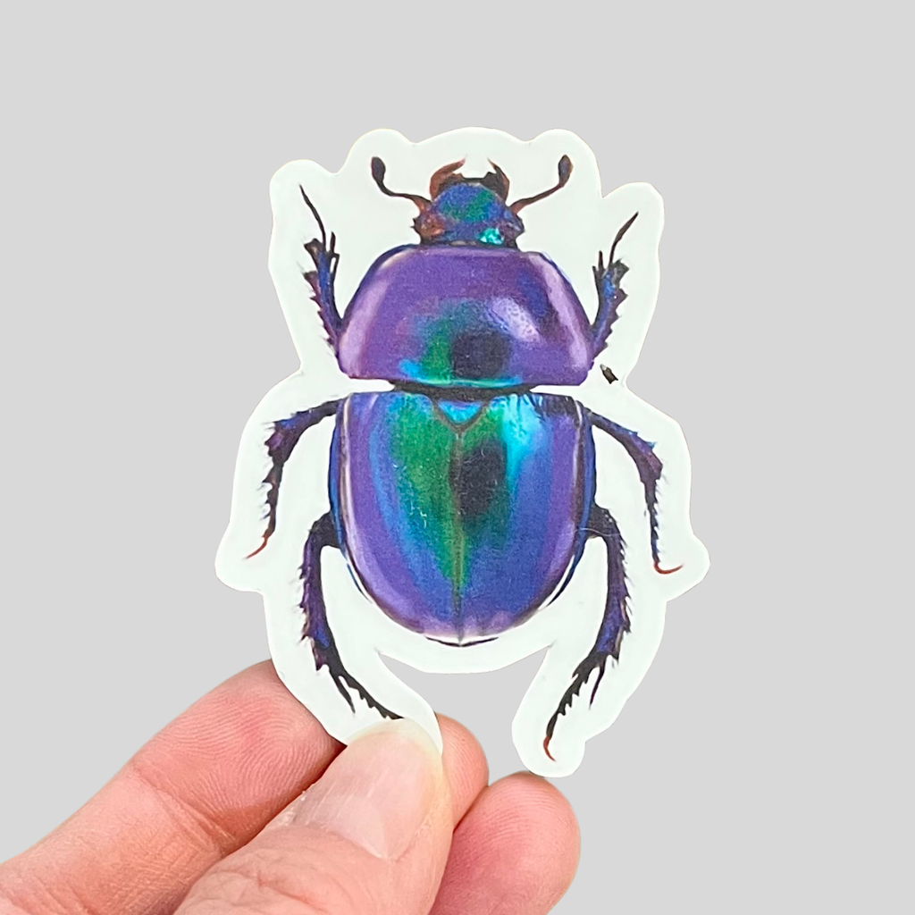 Waterproof Rose Chafer Beetle Sticker