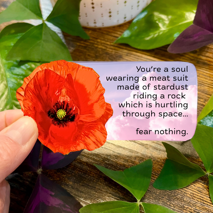 Waterproof You're a Soul Wearing a Meat Suit Sticker