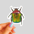 Christmas Beetle Sticker  - Waterproof Vinyl Sticker - Original Art Decal