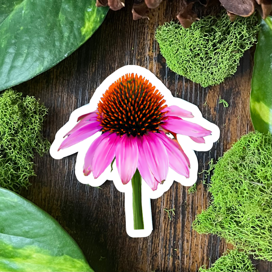Waterproof Echinacea Sticker