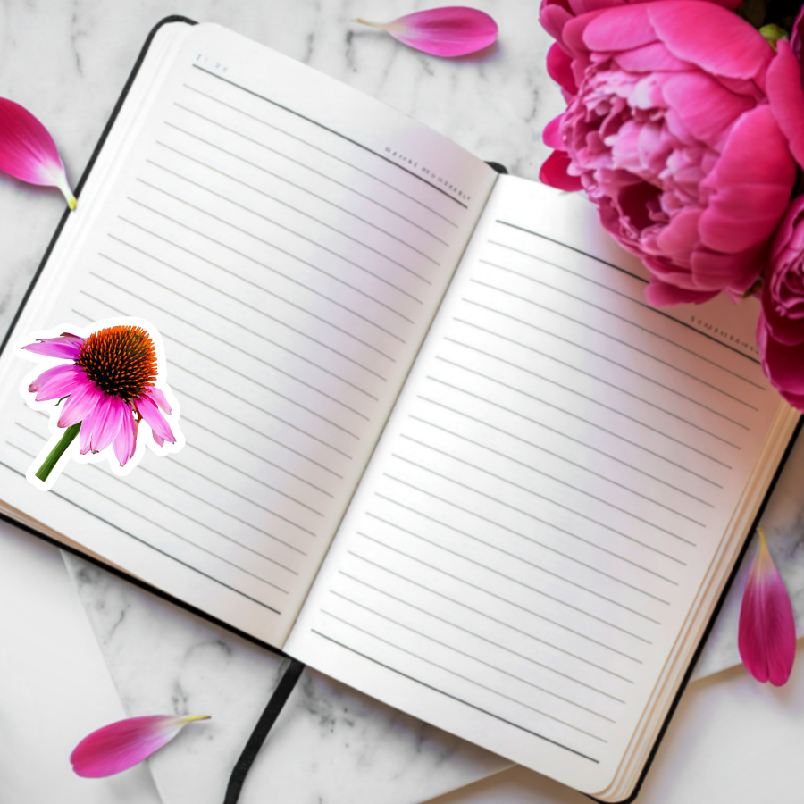 Waterproof Echinacea Sticker