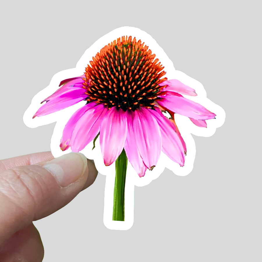 Waterproof Echinacea Sticker