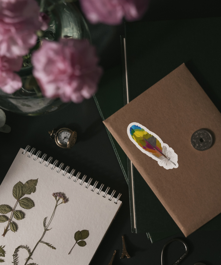 Colorful Macaw Feather - Waterproof Vinyl Sticker - Original Art Decal