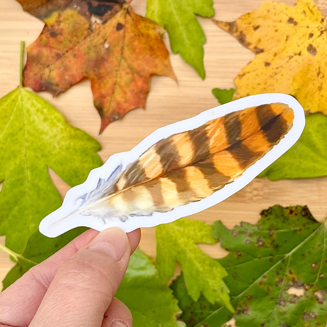 Waterproof Great Horned Owl Sticker