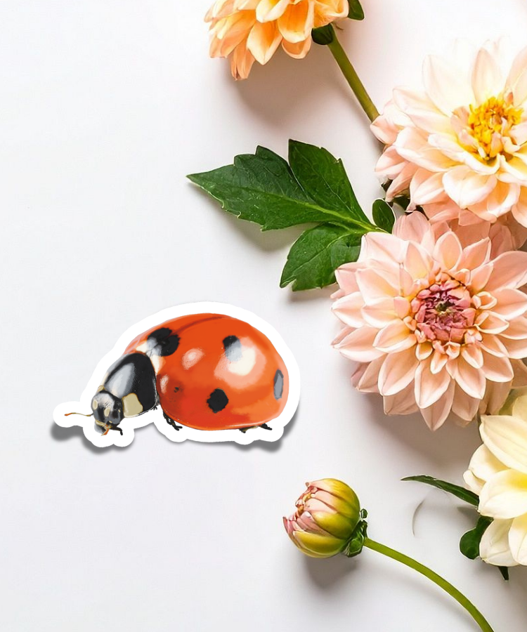 Lucky Ladybug Sticker - Waterproof Vinyl Sticker - Original Art Decal
