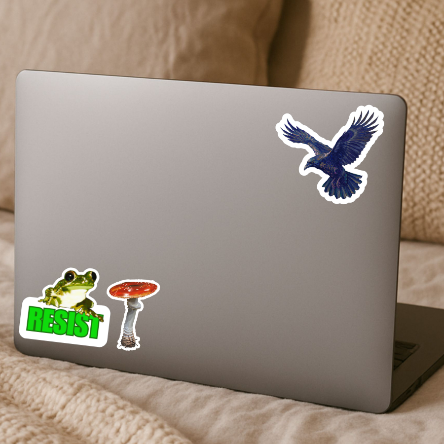 Waterproof Resist Frog Sticker - Waterproof Vinyl Sticker - Original Art Decal