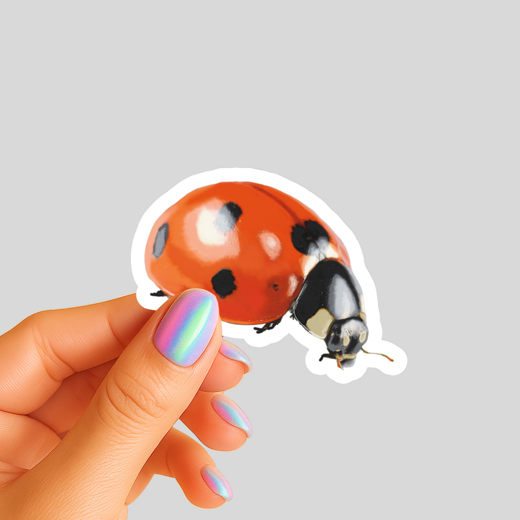 Lucky Ladybug Sticker - Waterproof Vinyl Sticker - Original Art Decal
