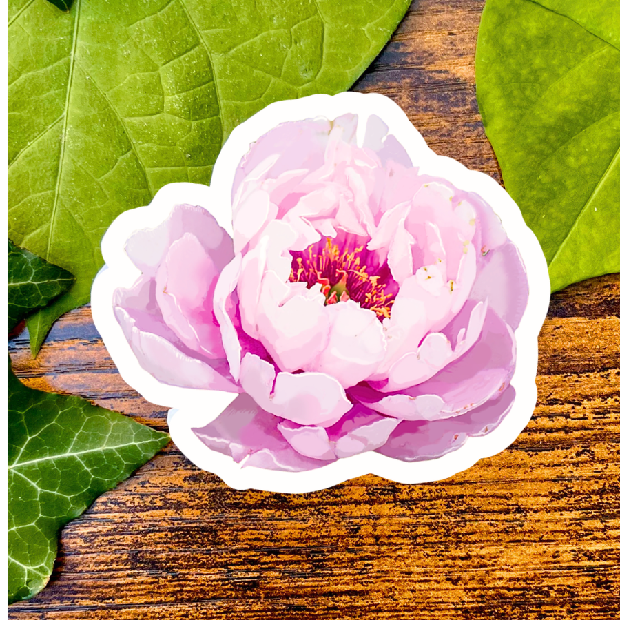 Baby Pink Peony Sticker - Waterproof Vinyl Sticker - Original Art Decal